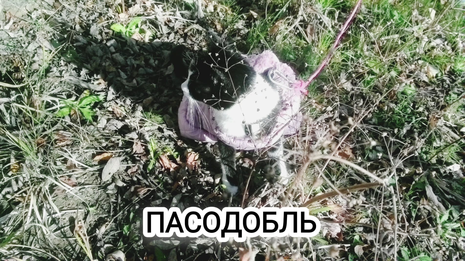 Предмет:аранжировка,3курс.Музыкальное звукооператорское мастерство смотреть онлайн