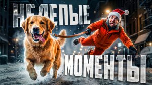 Самые нелепые моменты снятые на камеру