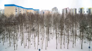 10818716 30 лет Победы 42/1