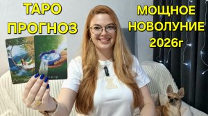 МОЩНОЕ Новолуние в Козероге 18 января 2026г 🌖 ТАРО Прогноз и послание Ангелов от ТАРО МЕЧТЫ