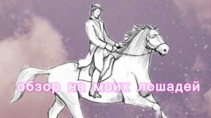Мои лошади