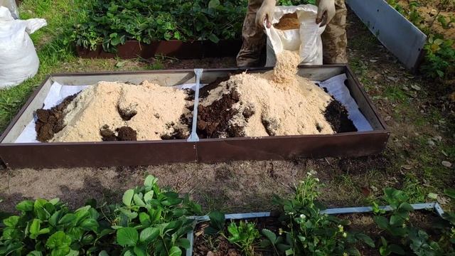 54-моя ДАЧА мой ОГОРОД ,новая грядка для клубники3 часть. (14.08.-15.08.21.) смотреть онлайн