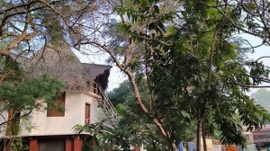 Готовимся к Балансу, обзор двора и площадки между экодомиками...