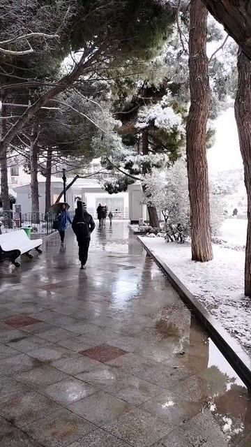 Ялта снежная... Набережная. 16 января 2026 года. смотреть онлайн