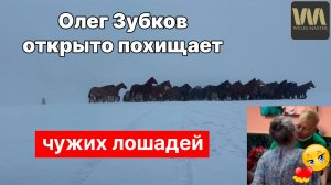 Олег Зубков открыто похищает у фермеров их лошадей!