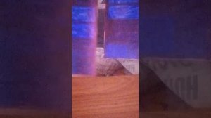 пишу хорошо имена