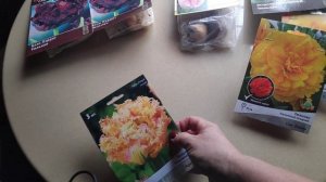 65-моя Дача..Выкапыпаю ГИППЕАСТРУМЫ..1 часть(18.09.-19.09.21)