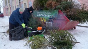 Переработка новогодних елок