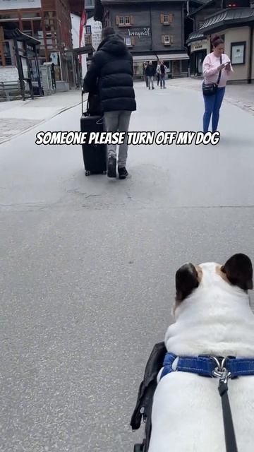 Общительный смотреть онлайн