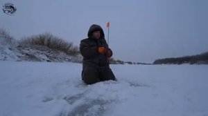 Первые щуки в новом 2026 году