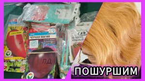 Записки огородника и семена томатов прошлого 2025 года.