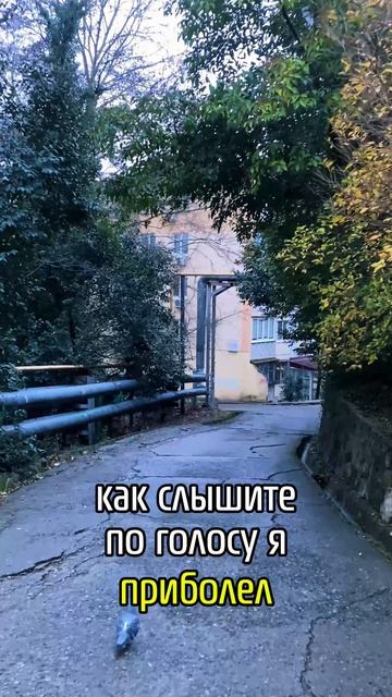 17 января Адлер Воют сирены смотреть онлайн