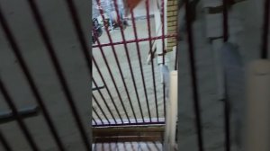 Для новых подписчиков