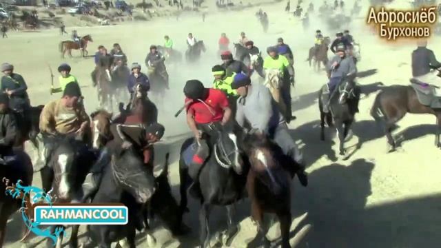 Лоик - 1 буз 500 сомони. 2026