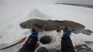 Рыбалка на Енисее. Проверка перемётов перед морозами.