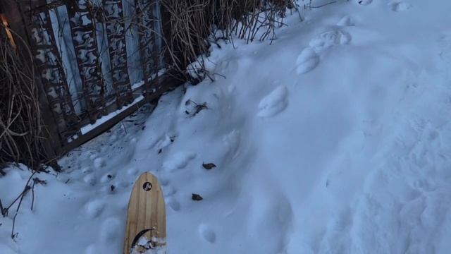 351. ПОХОЛОДАЛО. зато КОМАРОВ нет. смотреть онлайн