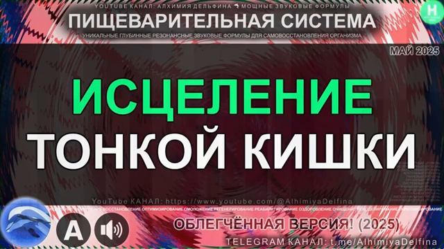 Восстановление Тонкой Кишки*Мощное Пищеварение*Здоровье ДПК Тощей Кишки и Подвздошной Кишки смотреть онлайн