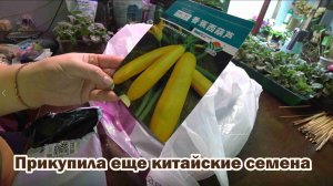 Обзор покупок с маркетплейсов: брюки, пижама, хинкальница, комод, китайские семена, тюль