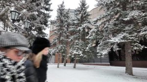 ПЯТИГОРСКАЯ  РОМАШКА 2026г. #пятигорск #кмв #кавказ