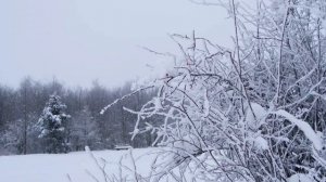 Почему 17 января, все станет ясно_