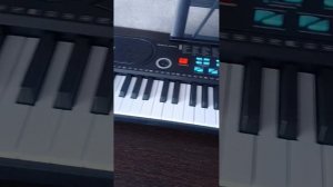 Купила синтезатор играть не умею