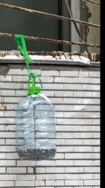 #синицы #slowmotion смотреть онлайн