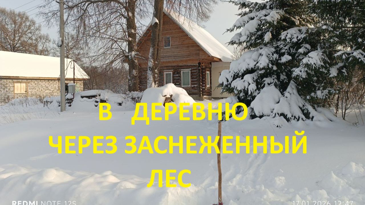 В деревню через заснеженный лес, пробираемся к дому. смотреть онлайн