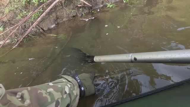 🔺️ОТПУСТИЛ ПЕРВУЮ🔺️fishing#туризм#природа#ловля#рыбалка#щука#ловлящуки#ночевка#Чулым#река#спиннинг