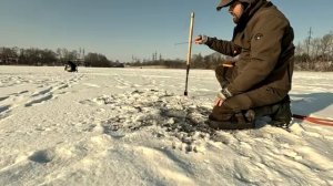 Зимняя плотва на Кременчугском водохранилище на безмотылку Светловодск