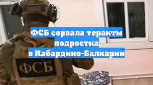 ФСБ задержала готовивших поджог и покушение в Хабаровском крае и КБР