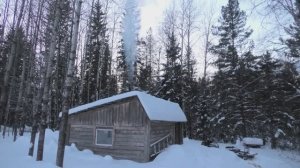 ЖИВЕМ В ИЗБЕ. ЭТО ЧТО ЗА ПАТРОНОНЫ???  ЛОВУШКИ РАССТАВЛЕНЫ.