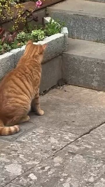 Не съем так прибъю смотреть онлайн