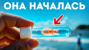 Наконец-то найдено первое животное на Земле