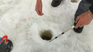 Форель на резину. Основной водоём.