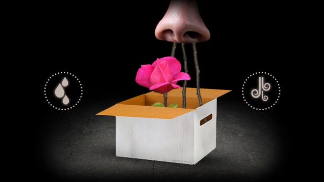 я поиграл в игру про семечко 2 часть смотреть онлайн