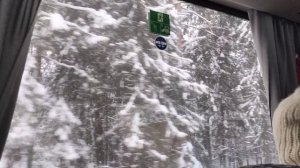 Зимняя красота из окна автобуса.Давно не видели такого🎉🌲🥳