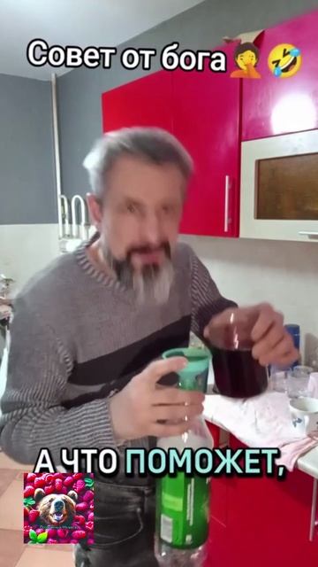 Совет дня смотреть онлайн