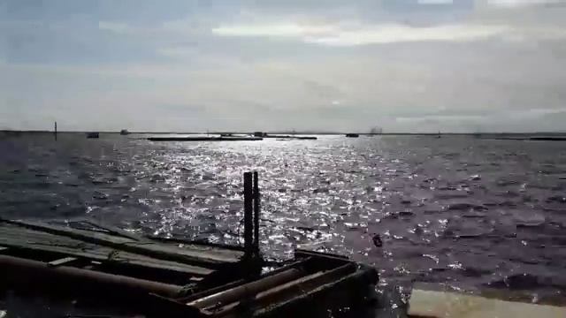 2019-09-21_760 смотреть онлайн