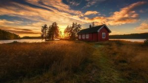 Спокойная расслабляющая музыка для отдыха и восстановления.