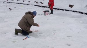 Второе зарыбление и поимки форели продолжаются!