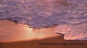 Турнир между ООО "Винета" и ООО "РеилФлагманЛогистик"