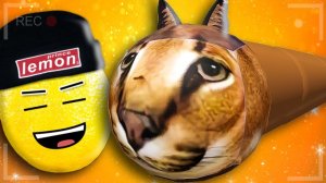 Я СОБРАЛ ВСЕХ ШЛЁП В РОБЛОКСЕ! НУБАСТЕР