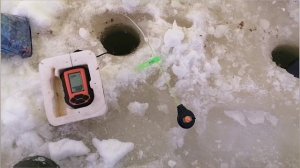 17.01.2026 Рыбалка на озере Исетское. Ловля подлещика в палатке. Рыба утащила удочку!