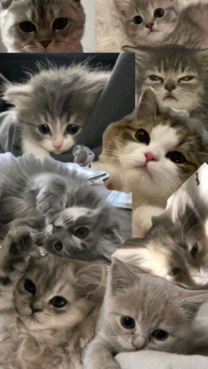 Майнкрафт с другом.