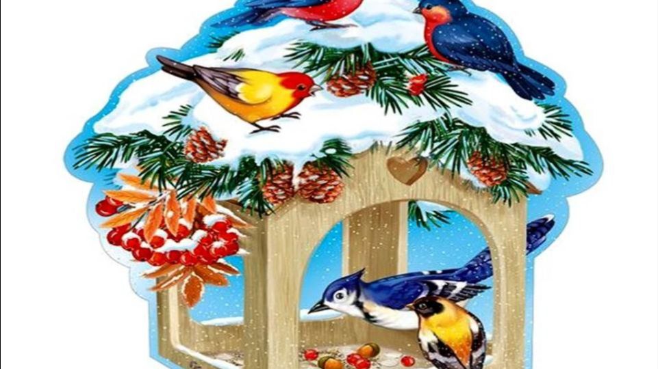 Сороки выясняют отношения ПОДПИШИСЬ смотреть онлайн