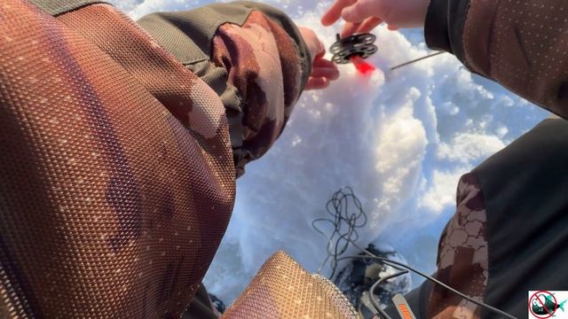 Безмотылка. Жерлицы. Холод 17.01.2026 🥶☃️🎣 смотреть онлайн