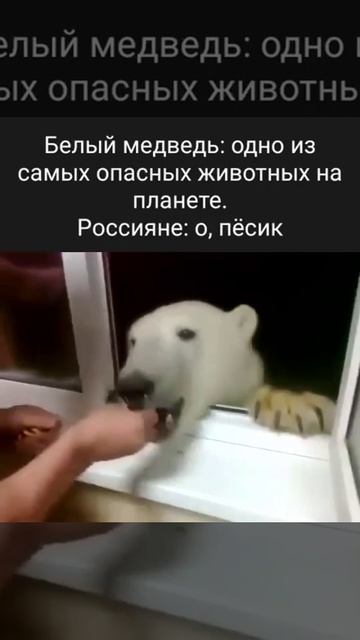 Пришел в гости подкрепиться. смотреть онлайн