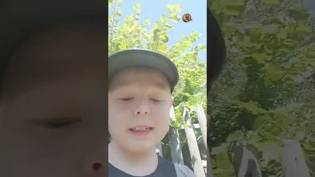 я,батя и машина смотреть онлайн