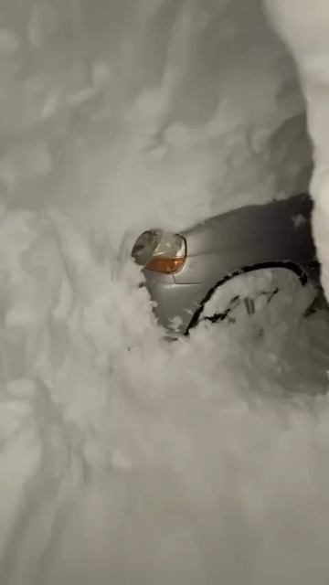 Камчатка смотреть онлайн