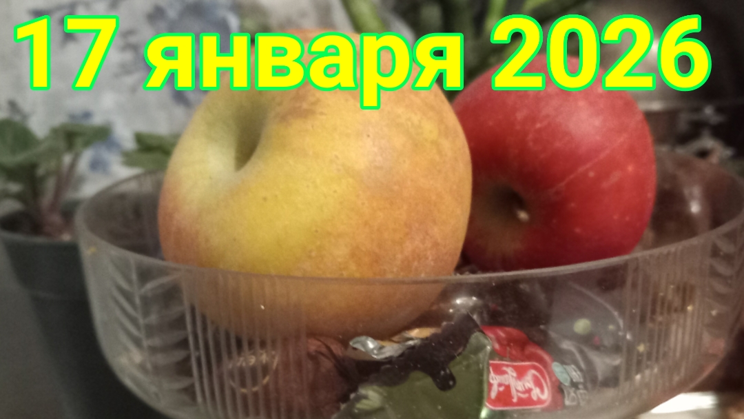 17 января 2026. Январские ситуации. смотреть онлайн